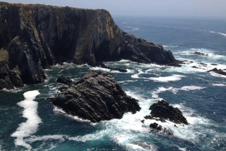 A aut quam rerum et in esse