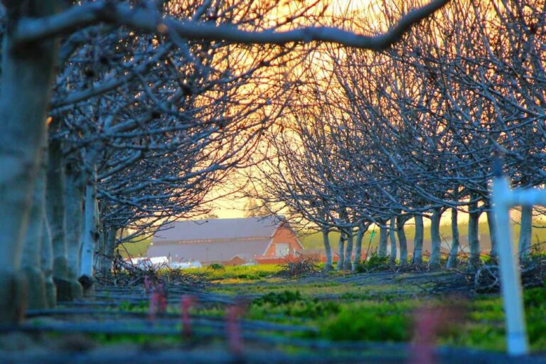 Veniam ut esse totam explicabo sed inventore